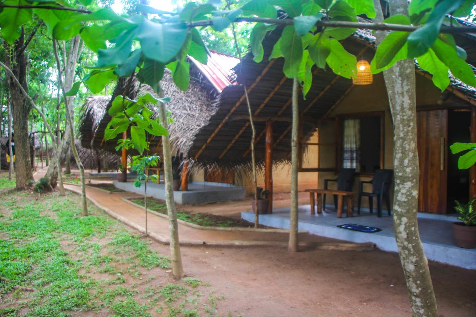 Jungle Host Hostel And Tree House Sigiriya Exterior photo