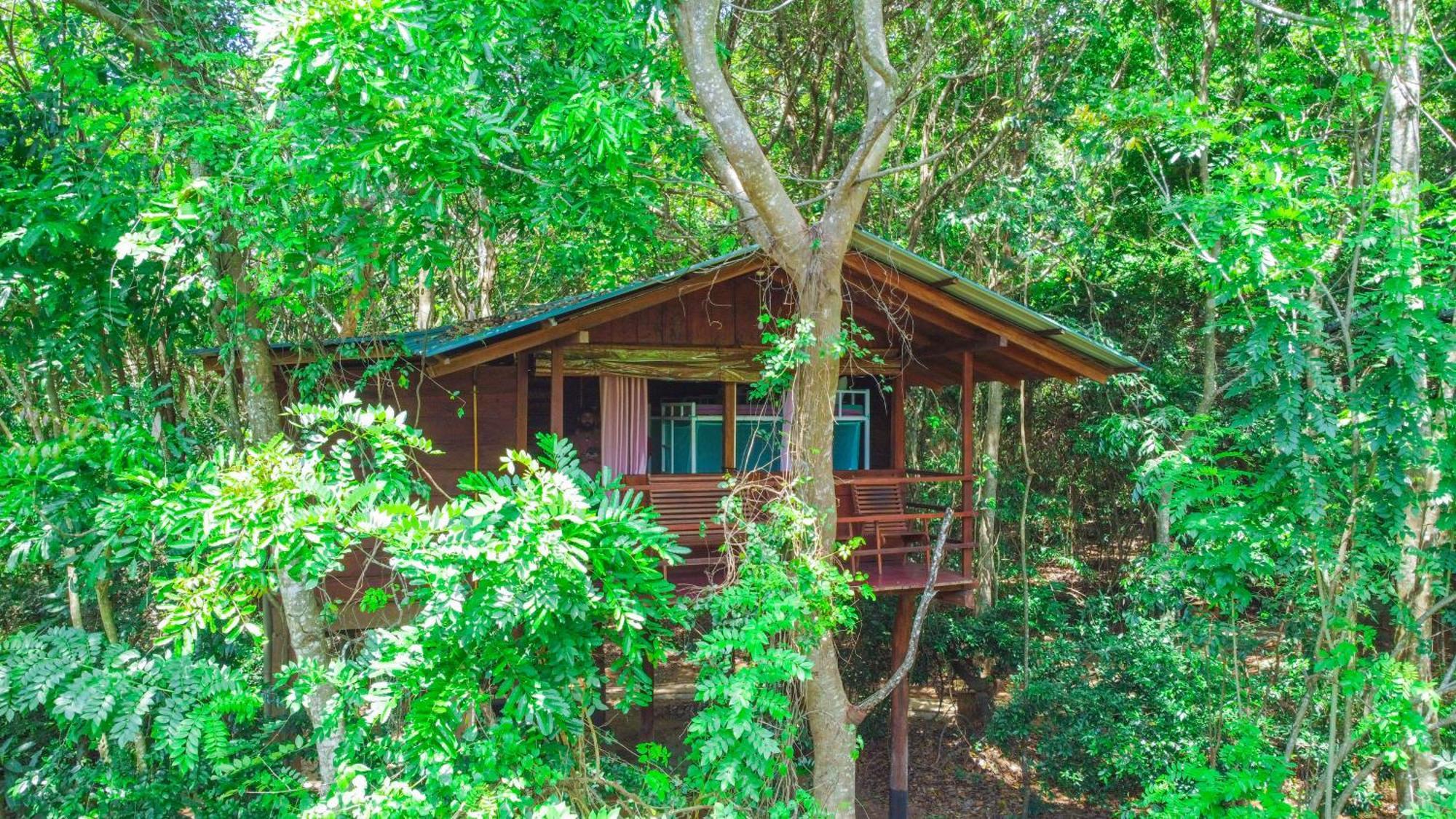 Jungle Host Hostel And Tree House Sigiriya Exterior photo