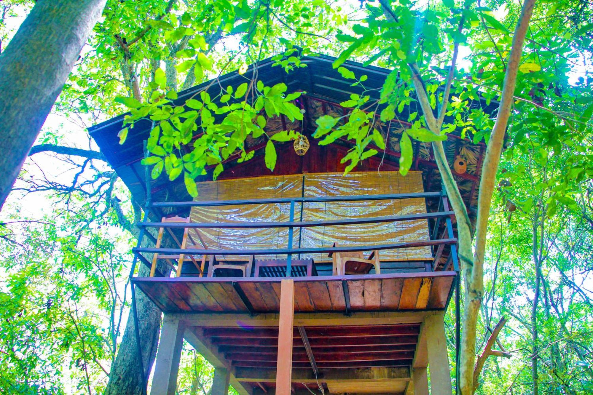 Jungle Host Hostel And Tree House Sigiriya Exterior photo